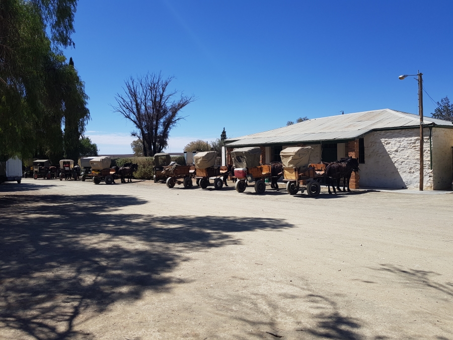 0 Bedroom Property for Sale in Calvinia Rural Northern Cape